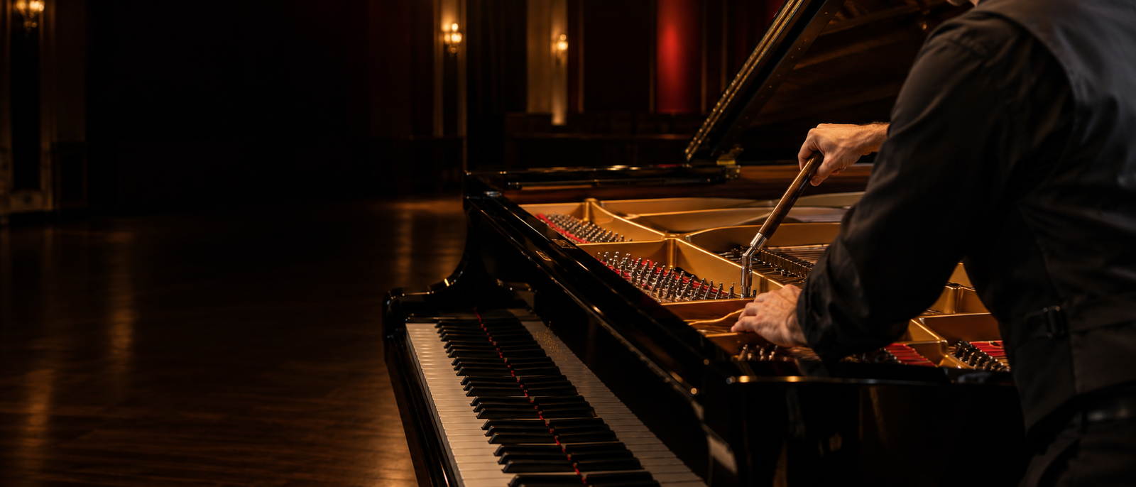 Close-up view of professional piano care