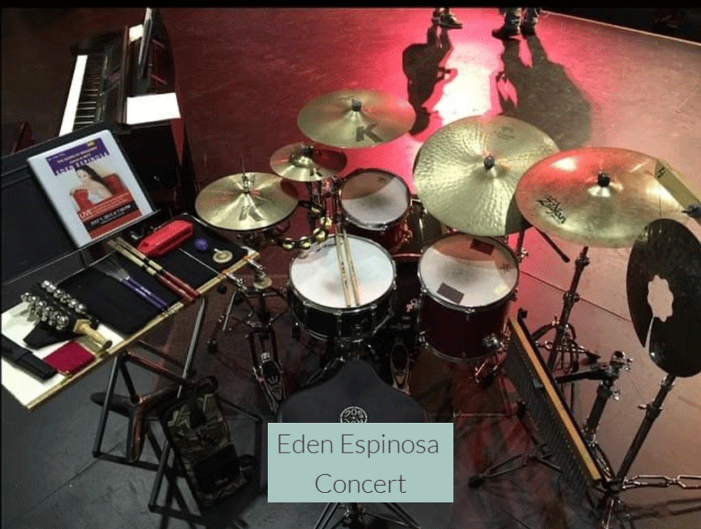 Troy Bashor concert performance setup